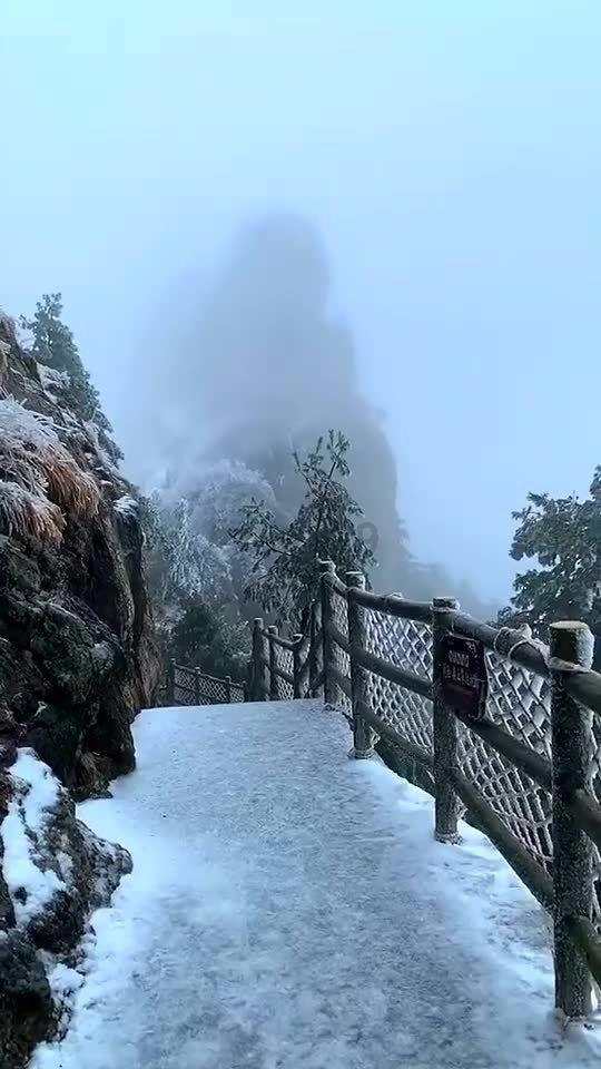 深耕突破 辰龙而上 | 文体旅局召开年度工作会议暨表彰大会